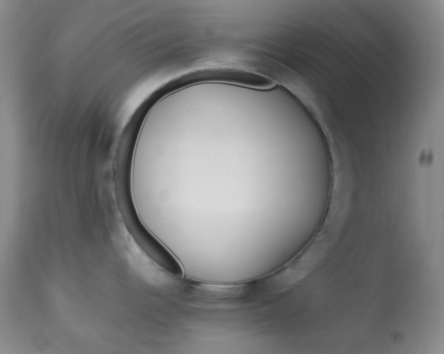 X0000113561344200910091406