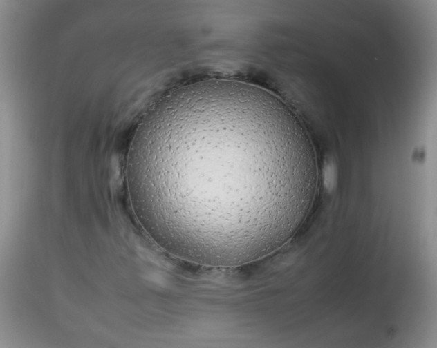 X0000113561347200910091405