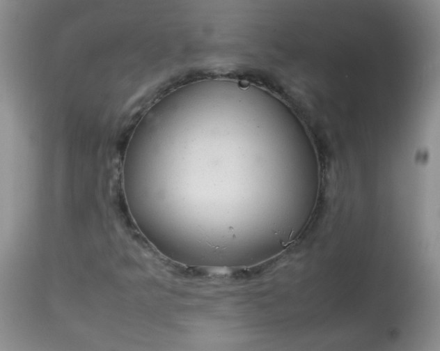 X0000113561349200910091405