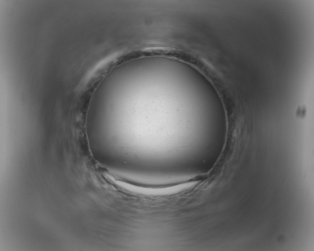 X0000113561351200910091405