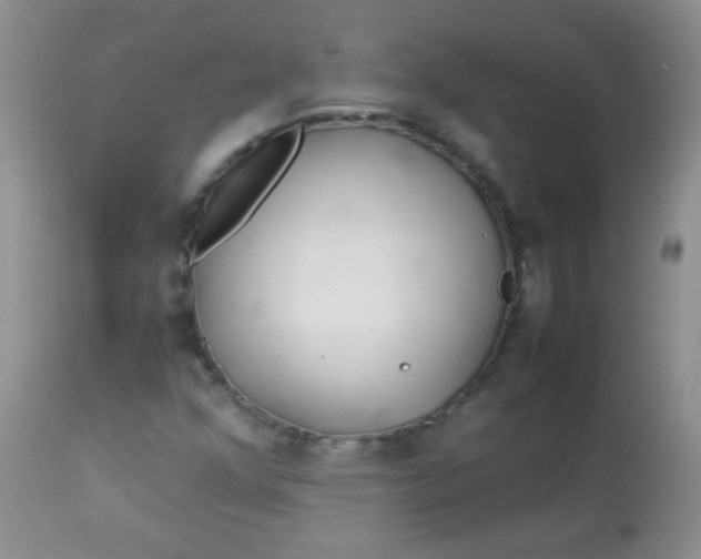 X0000113561352200910091405