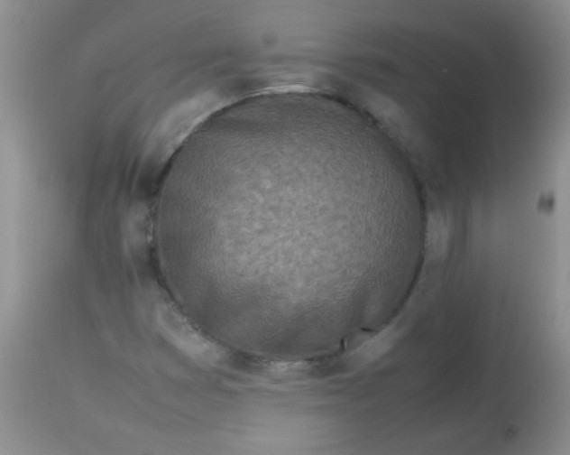 X0000113561353200910091405