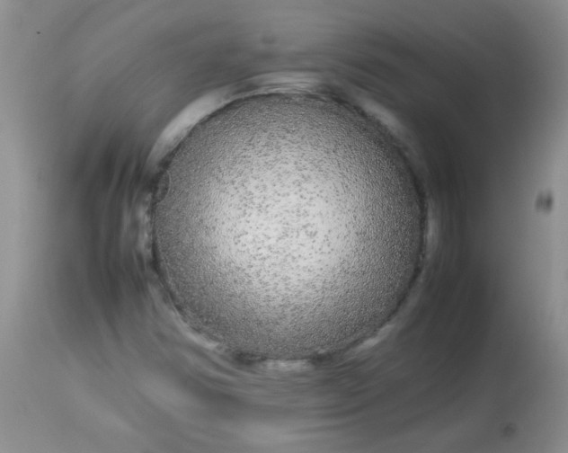 X0000113561354200910091405