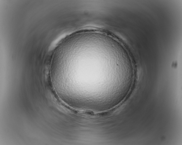 X0000113561355200910091405