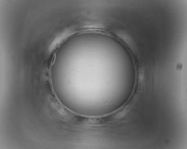 X0000113561357200910091405