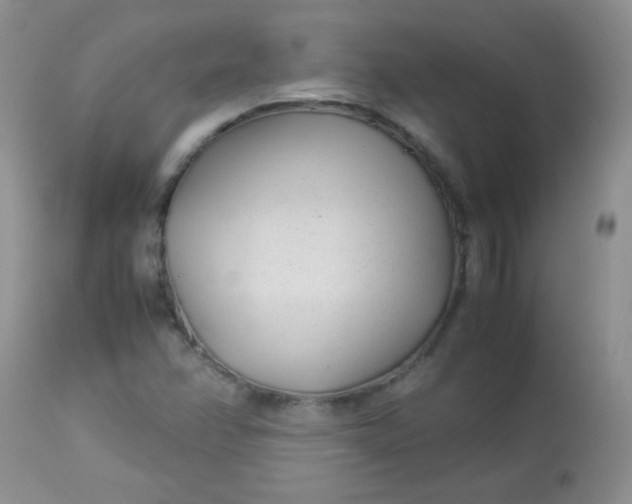 X0000113561358200910091405