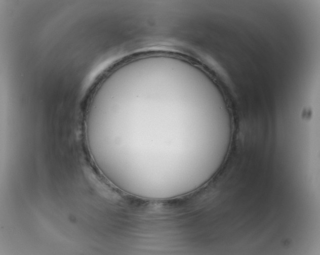 X0000113561360200910091405