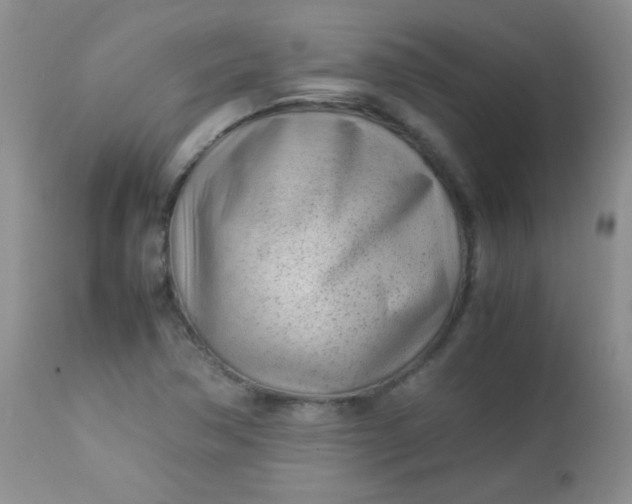 X0000113561362200910091405