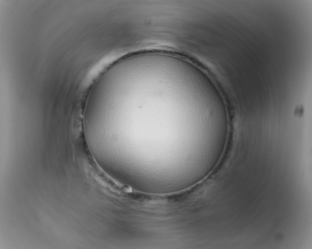 X0000113561363200910091405