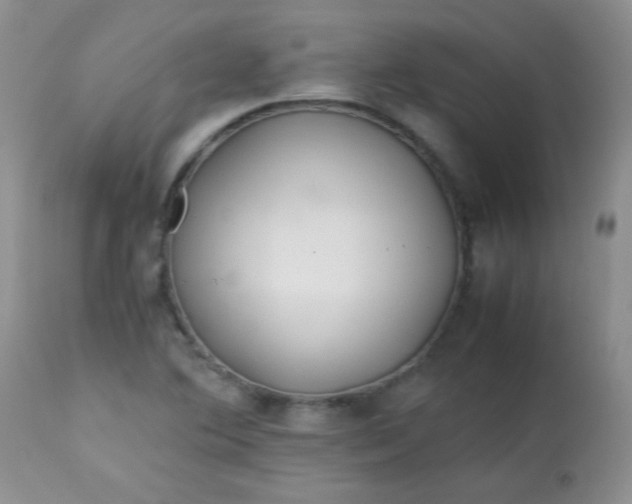 X0000113561364200910091405