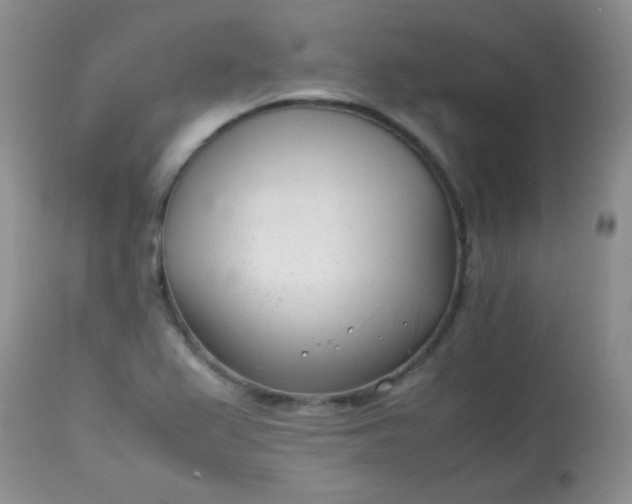 X0000113561367200910091405