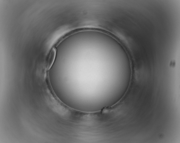 X0000113561368200910091405