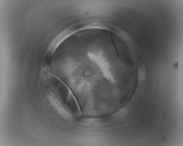 X0000113561369200910091405