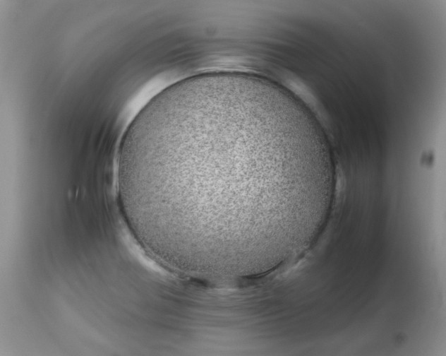 X0000113561370200910091405