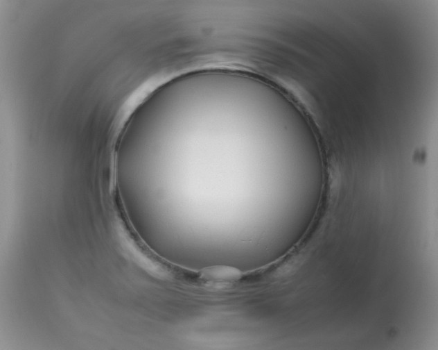 X0000113561371200910091405