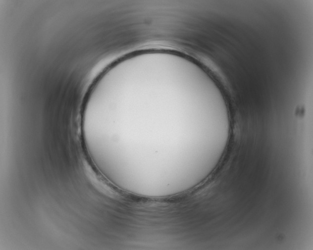 X0000113561372200910091405