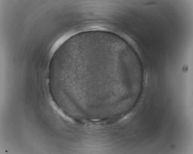 X0000113561373200910091405