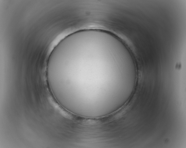 X0000113561374200910091405