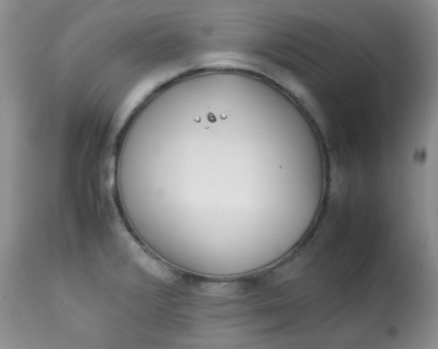 X0000113561376200910091405