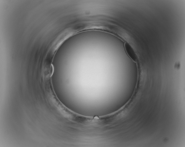 X0000113561377200910091405