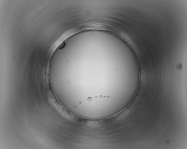 X0000113561378200910091405