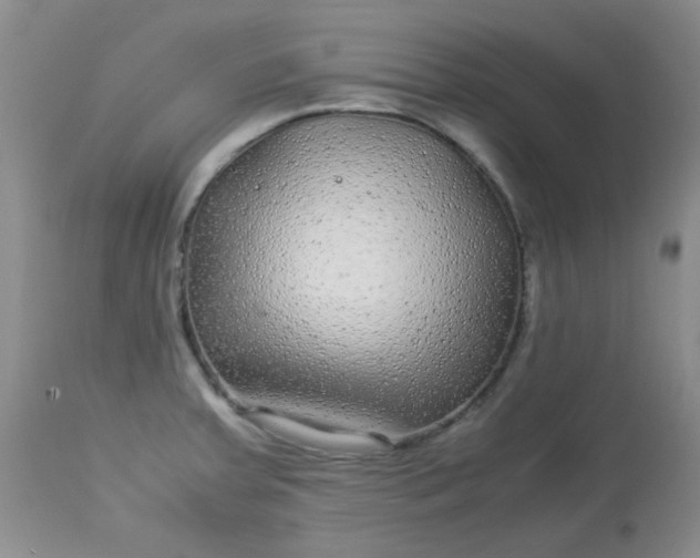 X0000113561379200910091404