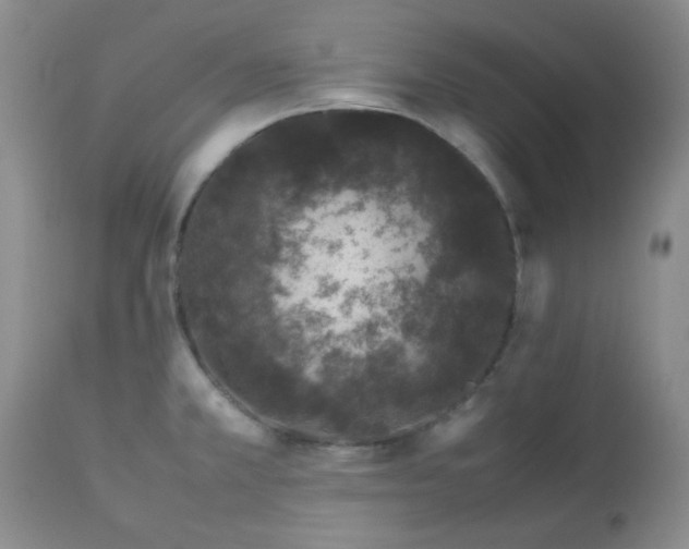 X0000113561381200910091404
