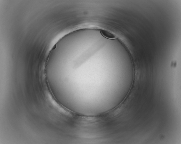 X0000113561382200910091404