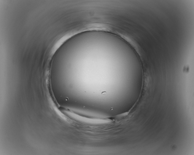 X0000113561383200910091404