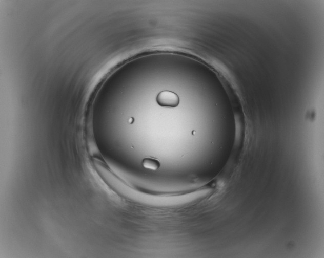 X0000113561384200910091404