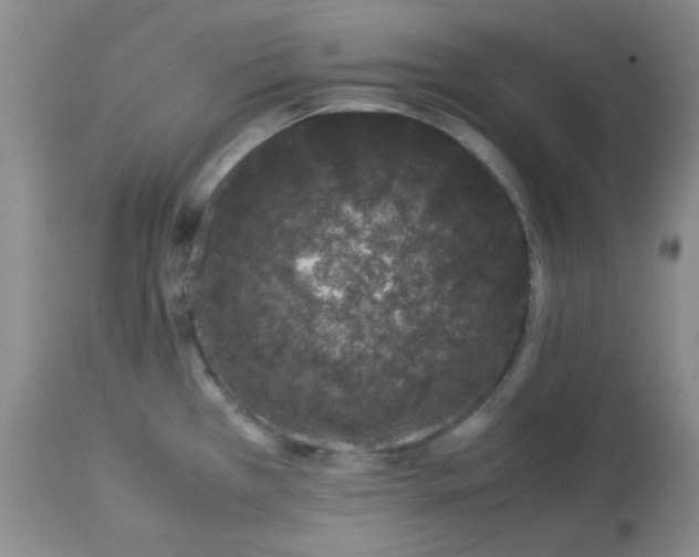 X0000113561385200910091404