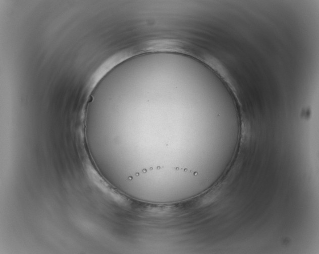 X0000113561386200910091404