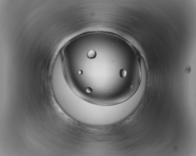 X0000113561388200910091404