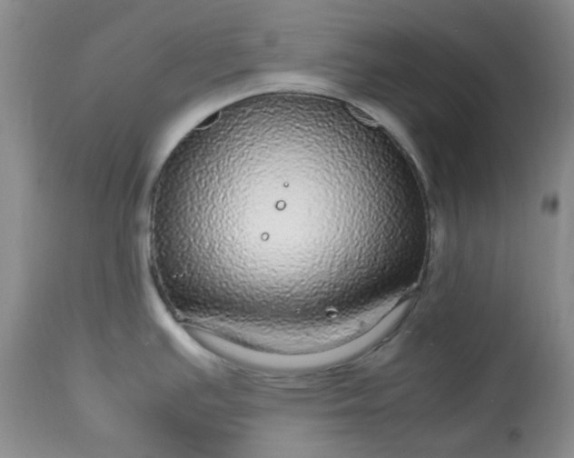 X0000113561391200910091404