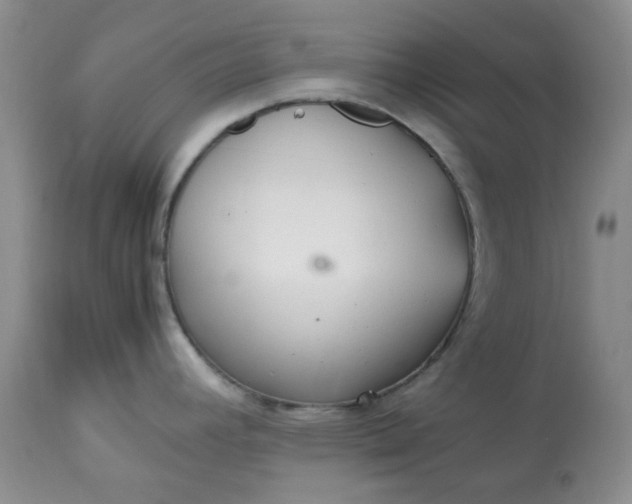 X0000113561392200910091404