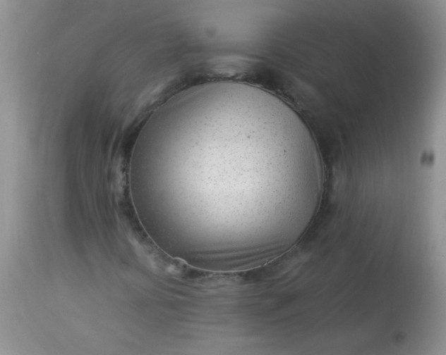 X0000113561394200910091403