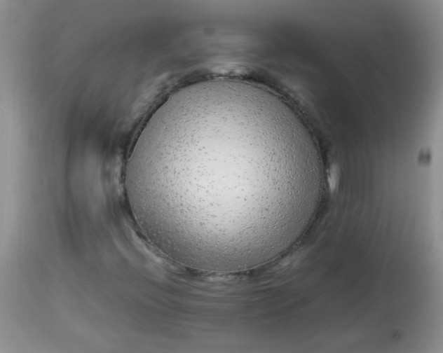 X0000113561396200910091403
