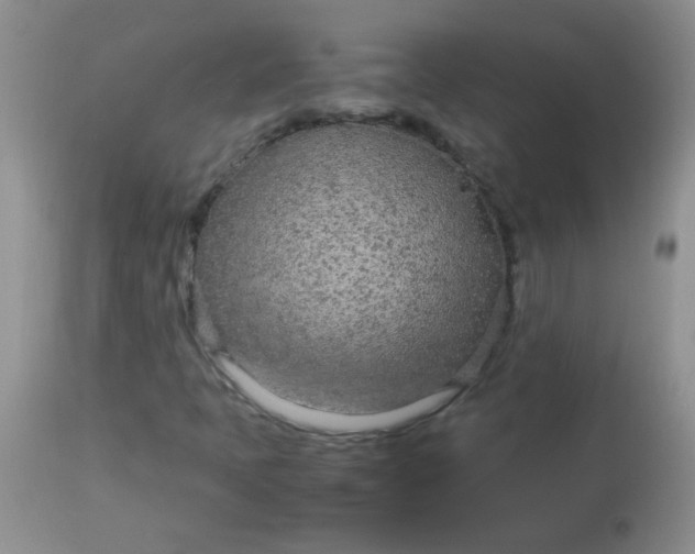 X0000113561397200910091403