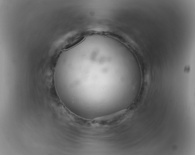 X0000113561398200910091403