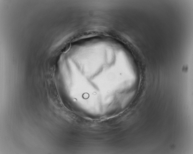 X0000113561399200910091403
