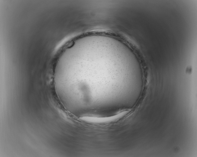 X0000113561400200910091403