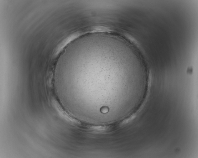 X0000113561401200910091404