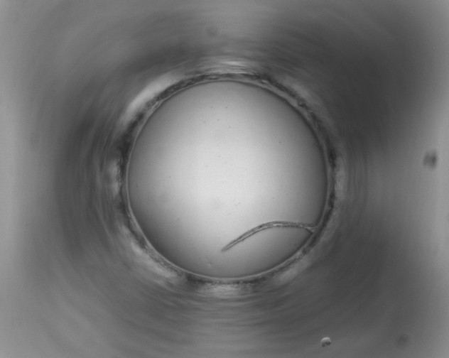 X0000113561402200910091404