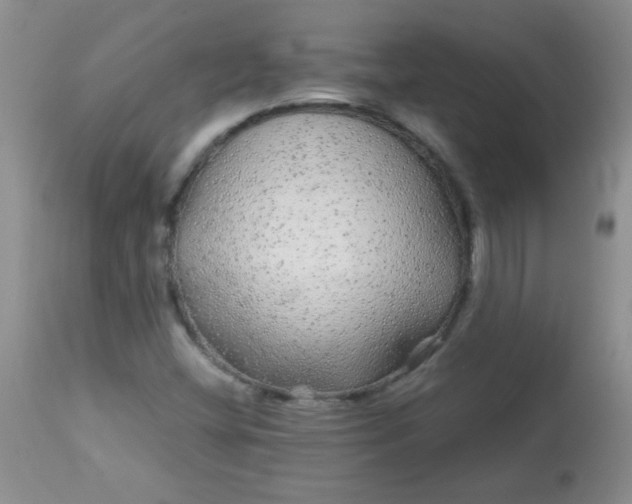 X0000113561404200910091404