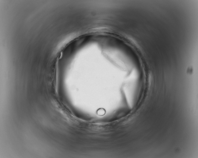 X0000113561405200910091404