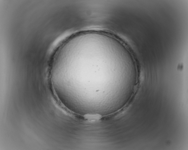 X0000113561406200910091404
