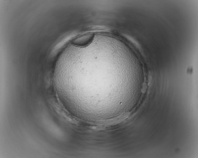 X0000113561407200910091404