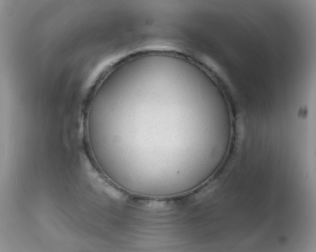 X0000113561408200910091404