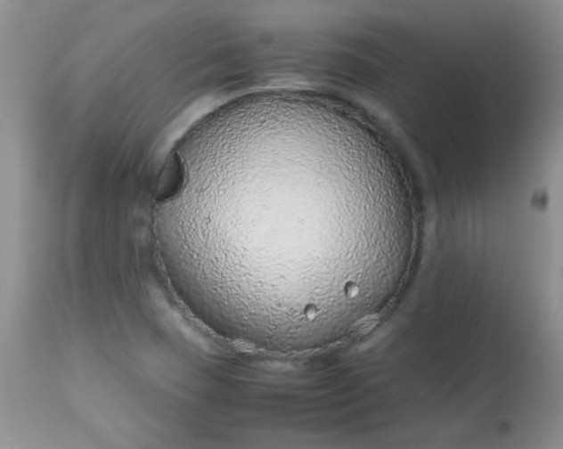X0000113561409200910091404