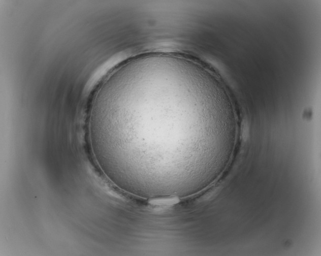 X0000113561410200910091404